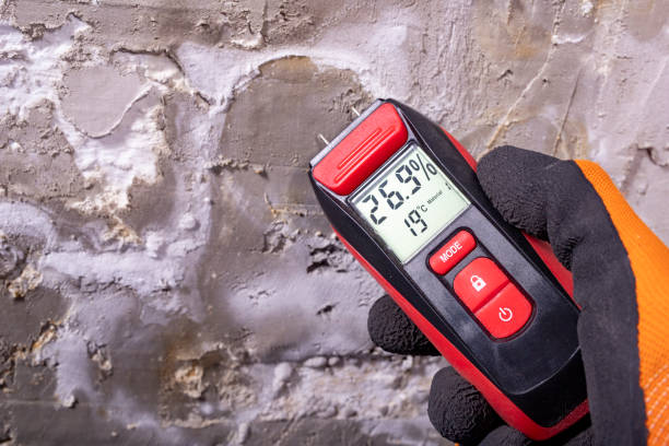 Placerville, CA Mold Removal Company