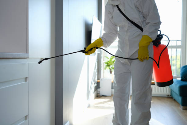 Mold Testing and Removal in Placerville, CA