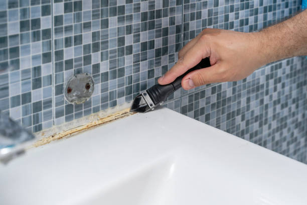 Best Local Mold Removal Service  in Placerville, CA
